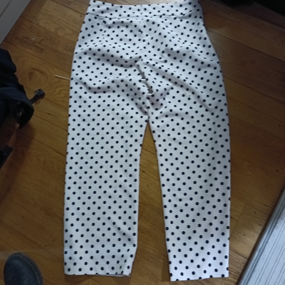 White Polka Dot Pants - Picture 1 of 1